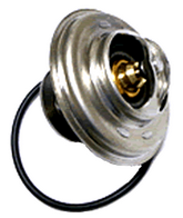Thermostat for Eurovan